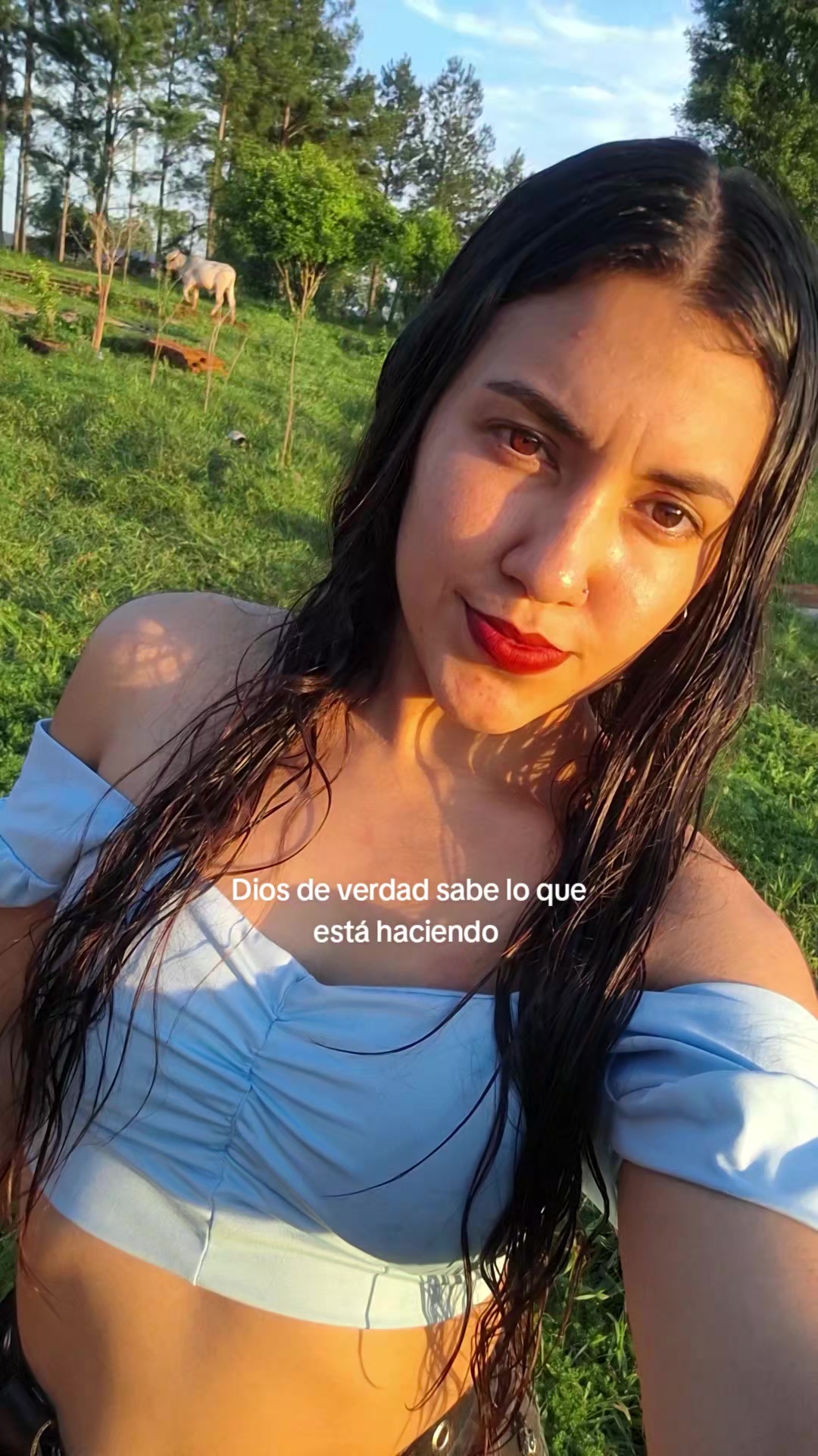 @Sara Machado