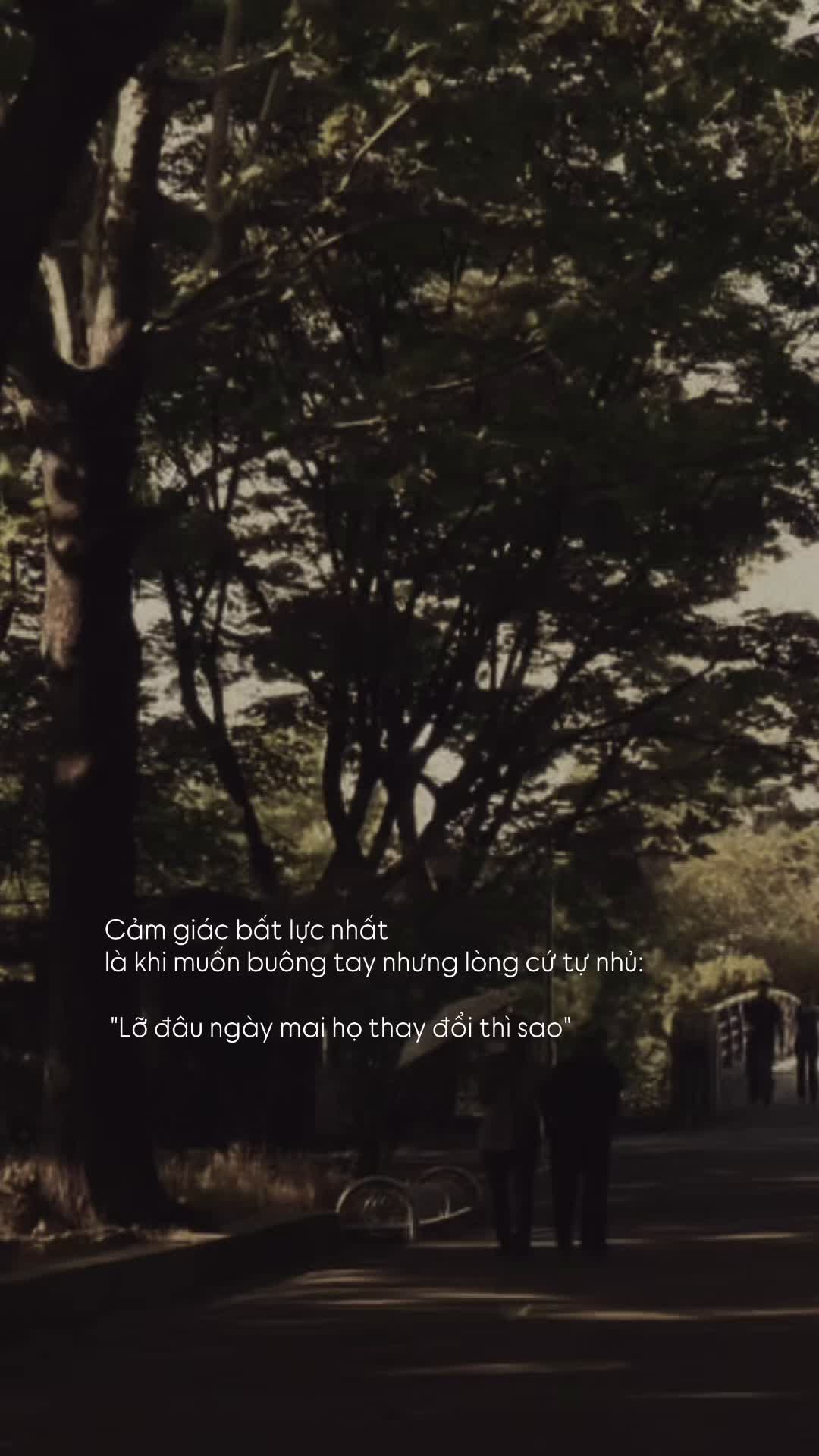 @Người Hiểu Chuyện