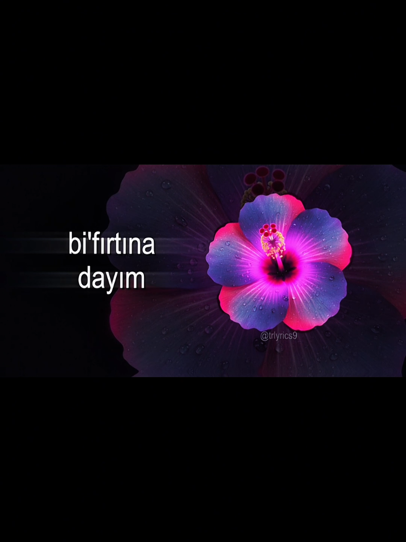 @𝙏𝙍>𝙡𝙮𝙧𝙞𝙘𝙨