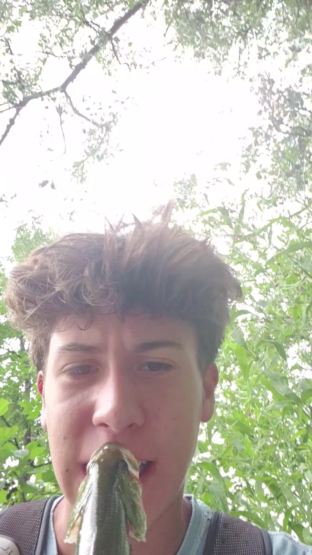 @AustinFishes