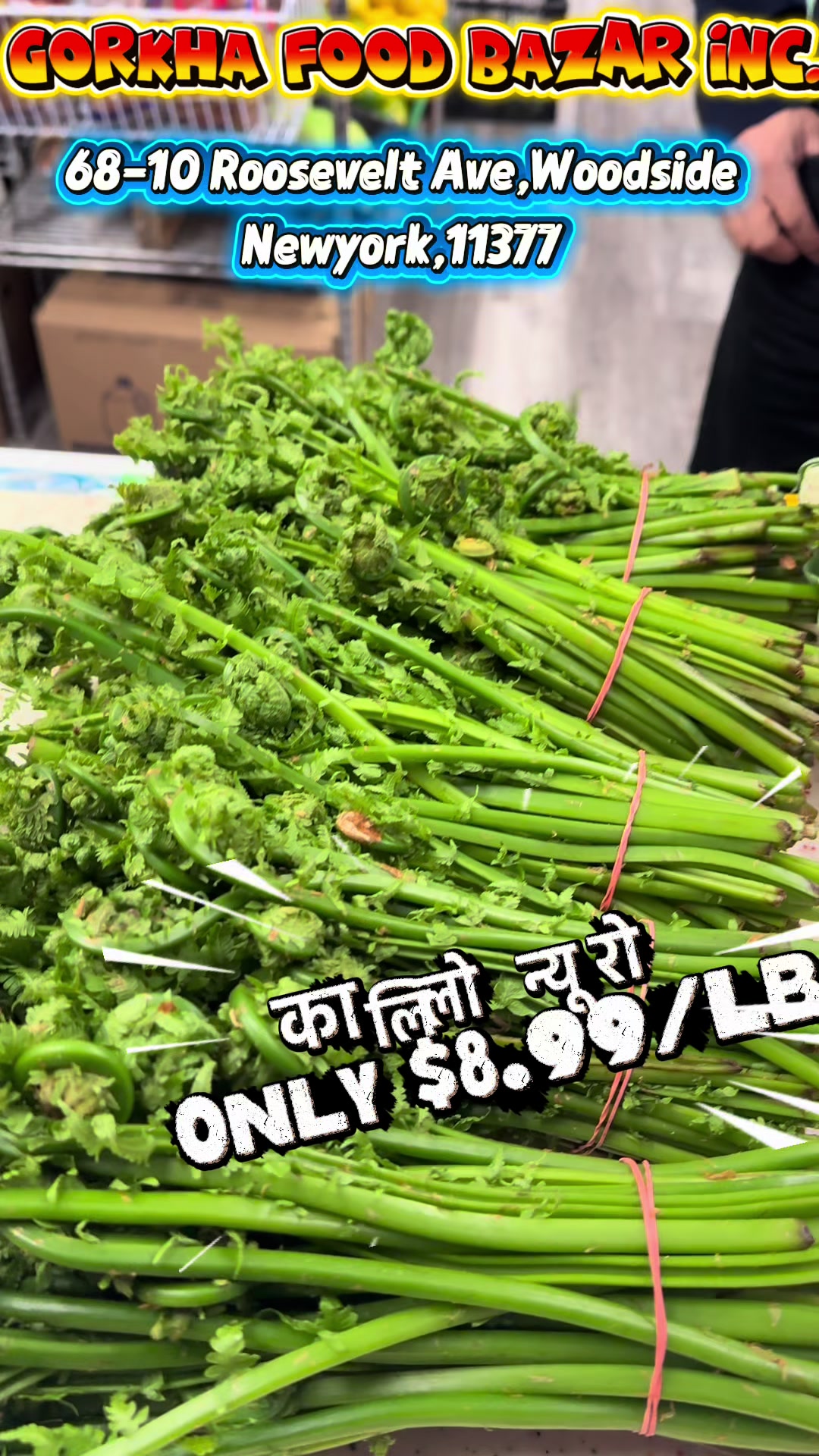 @GORKHA FOOD BAZAR INC