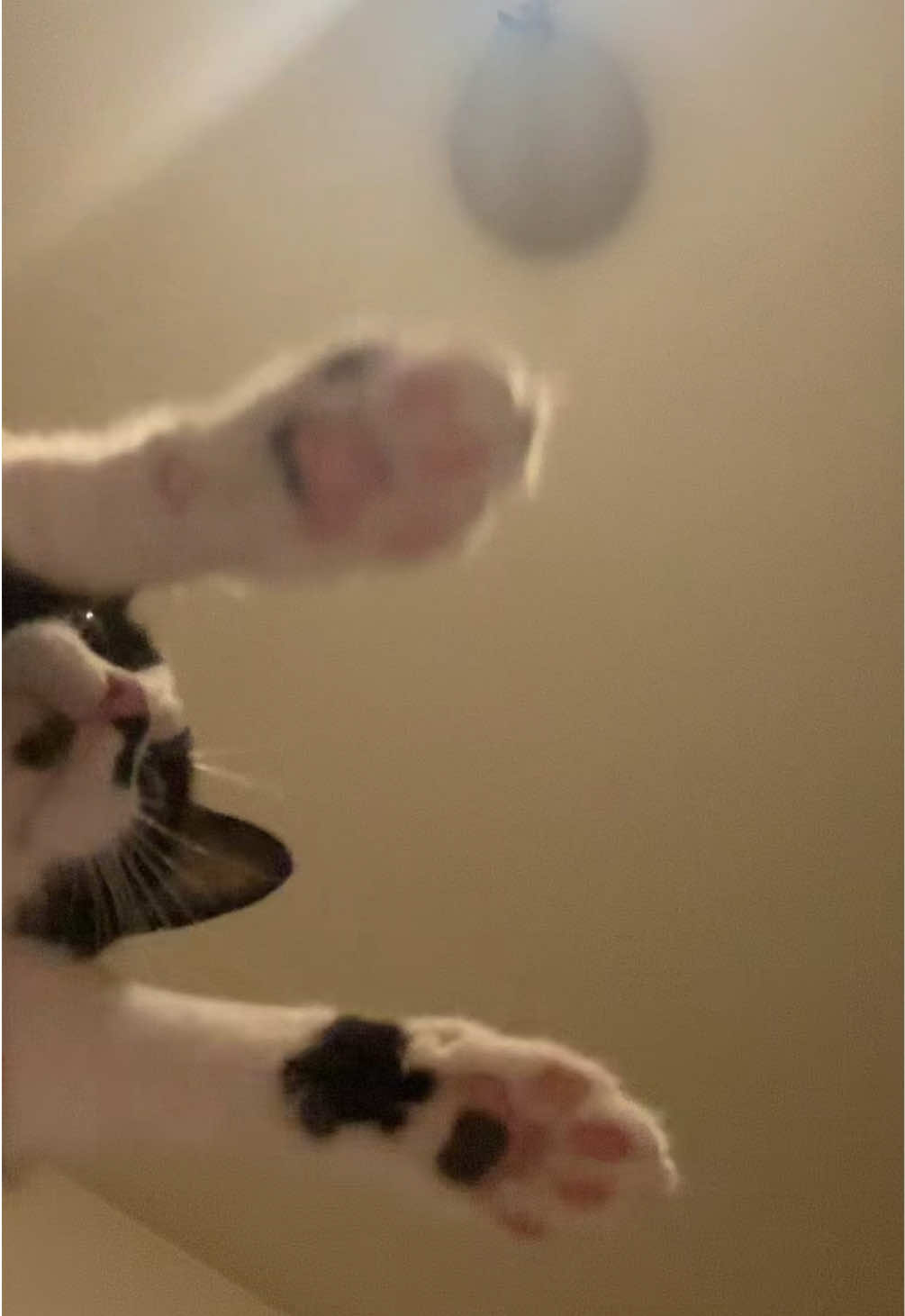 @cosanostrapurr