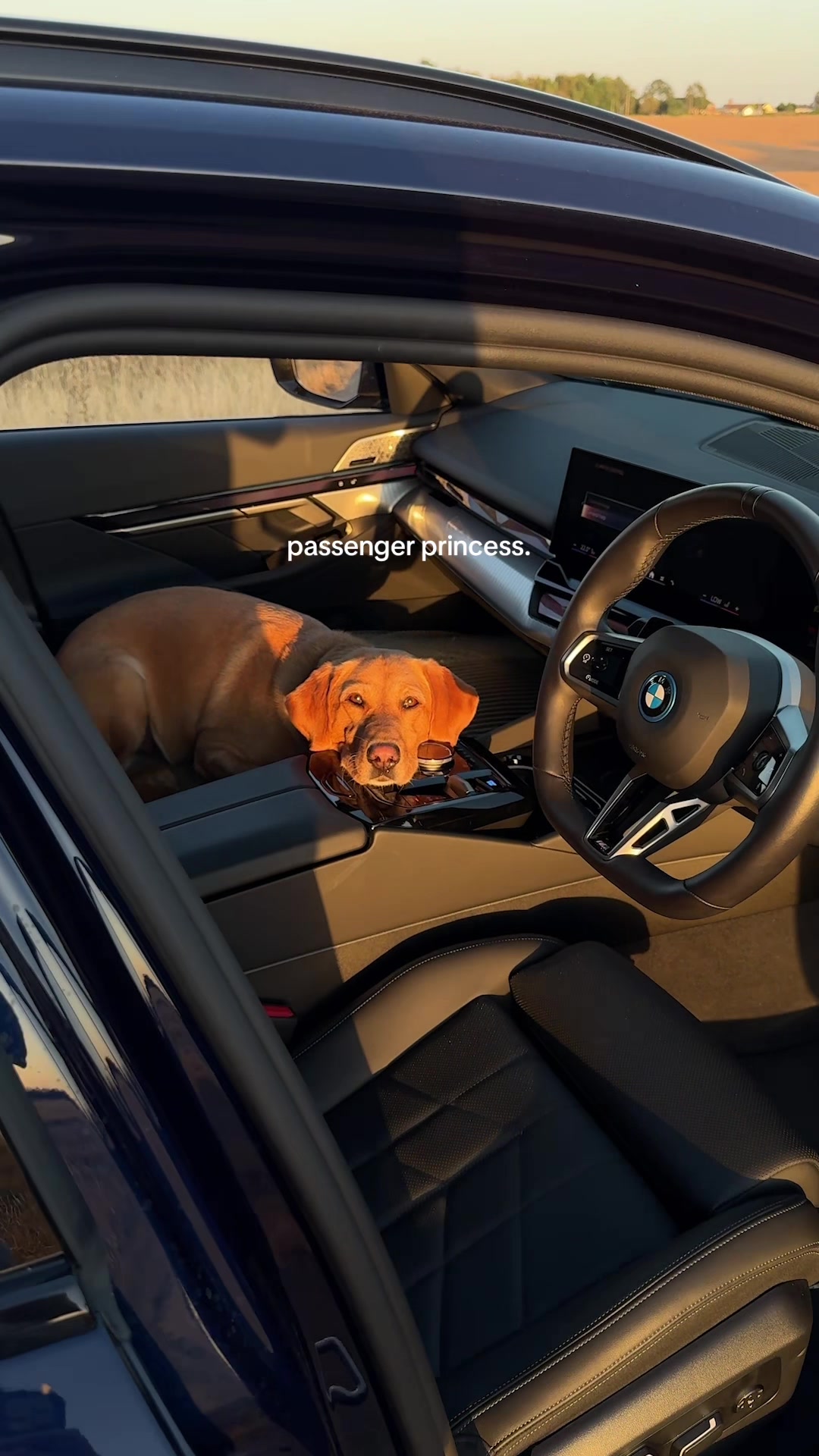 @bmw