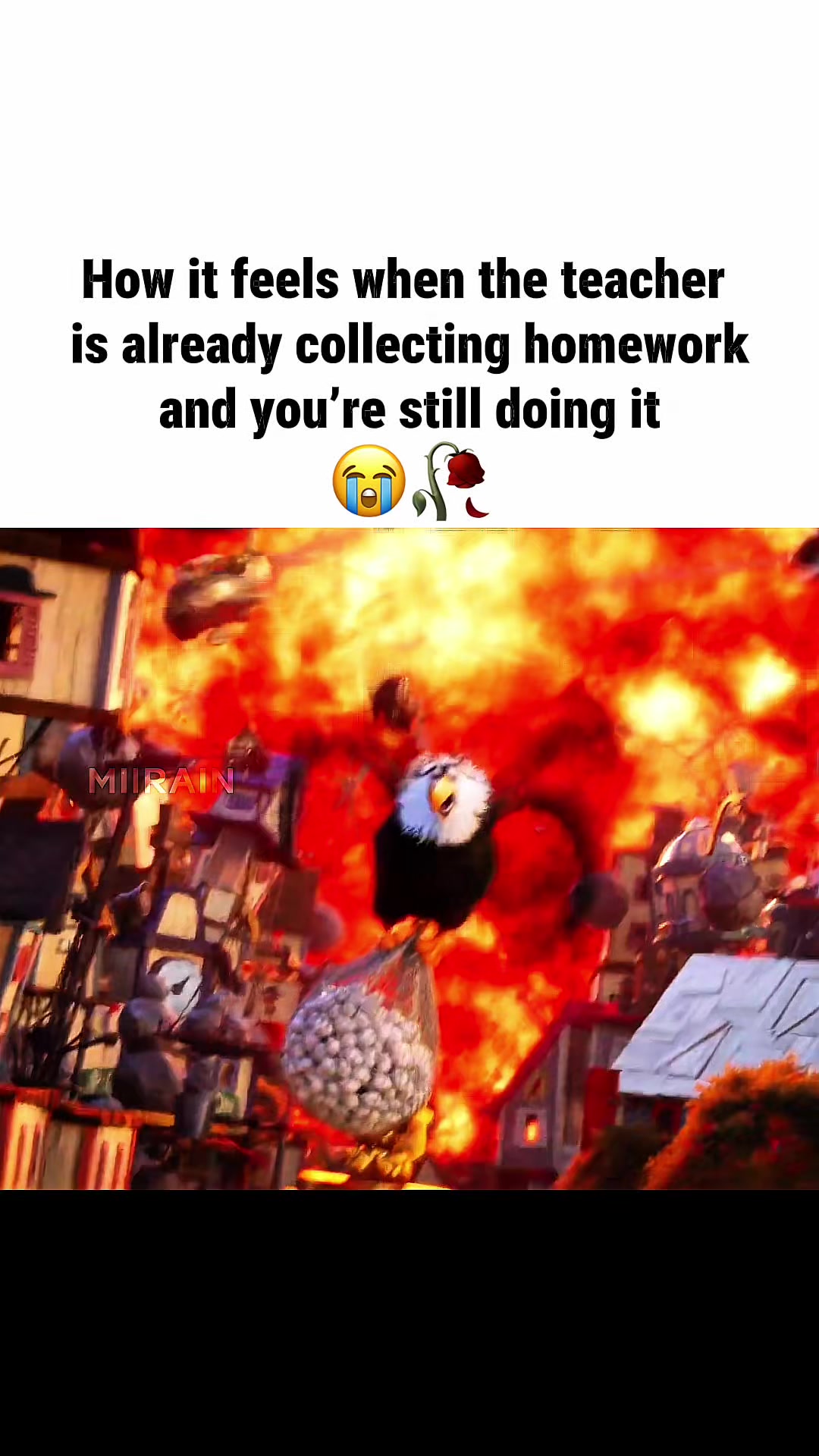 @MiiRain