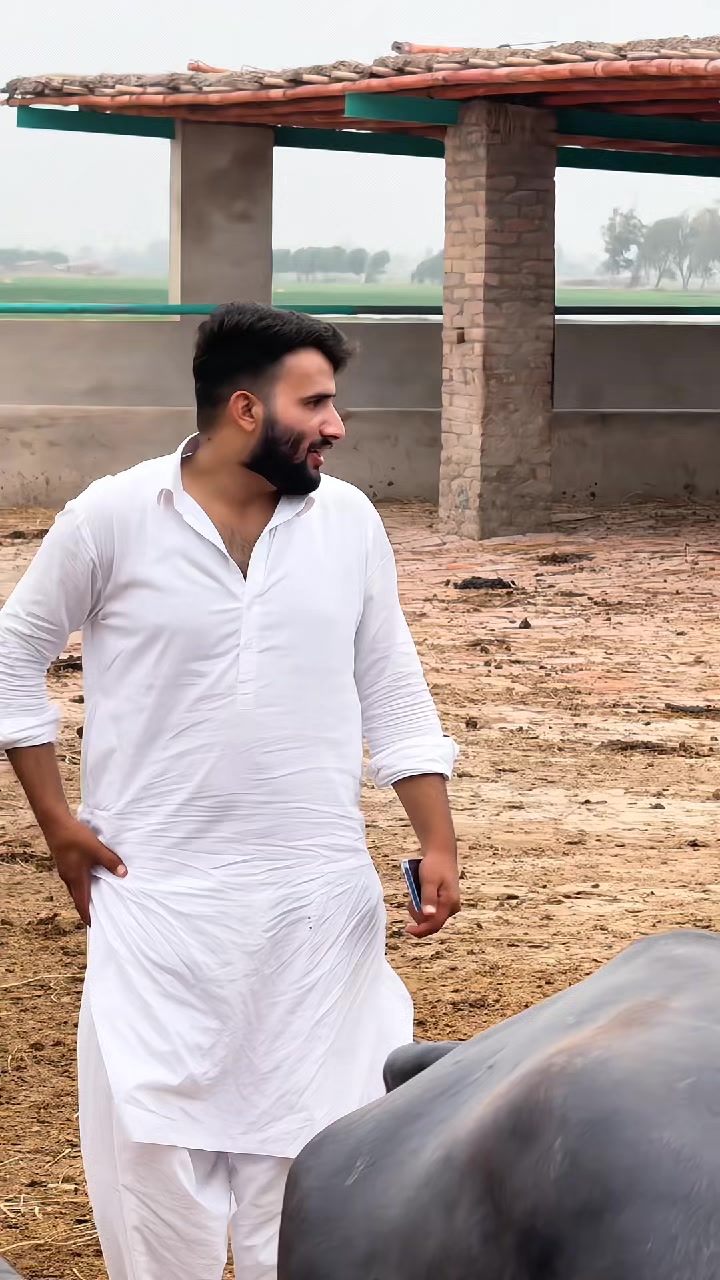 @Rashid Gujjar RG777