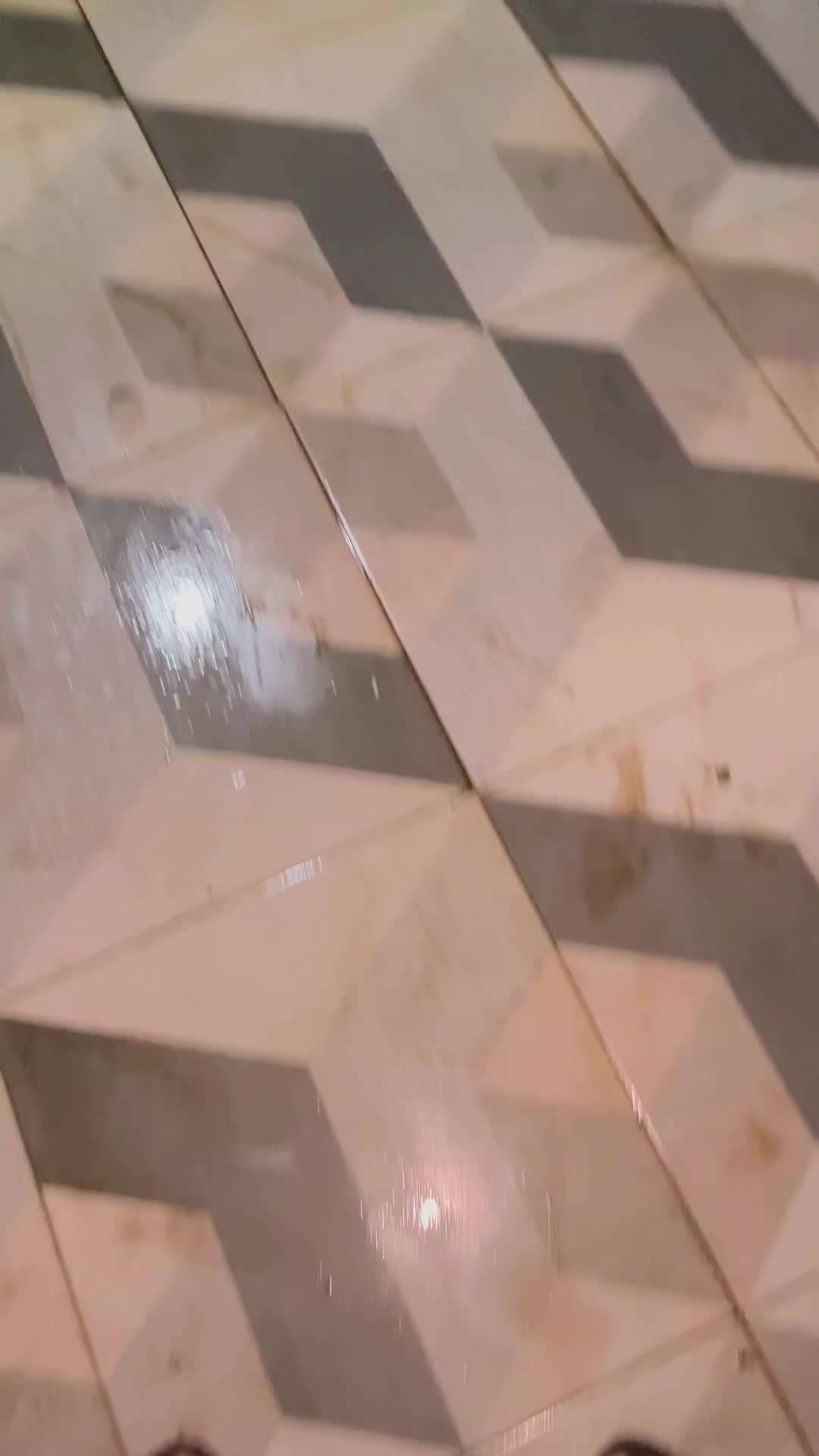 @biloss