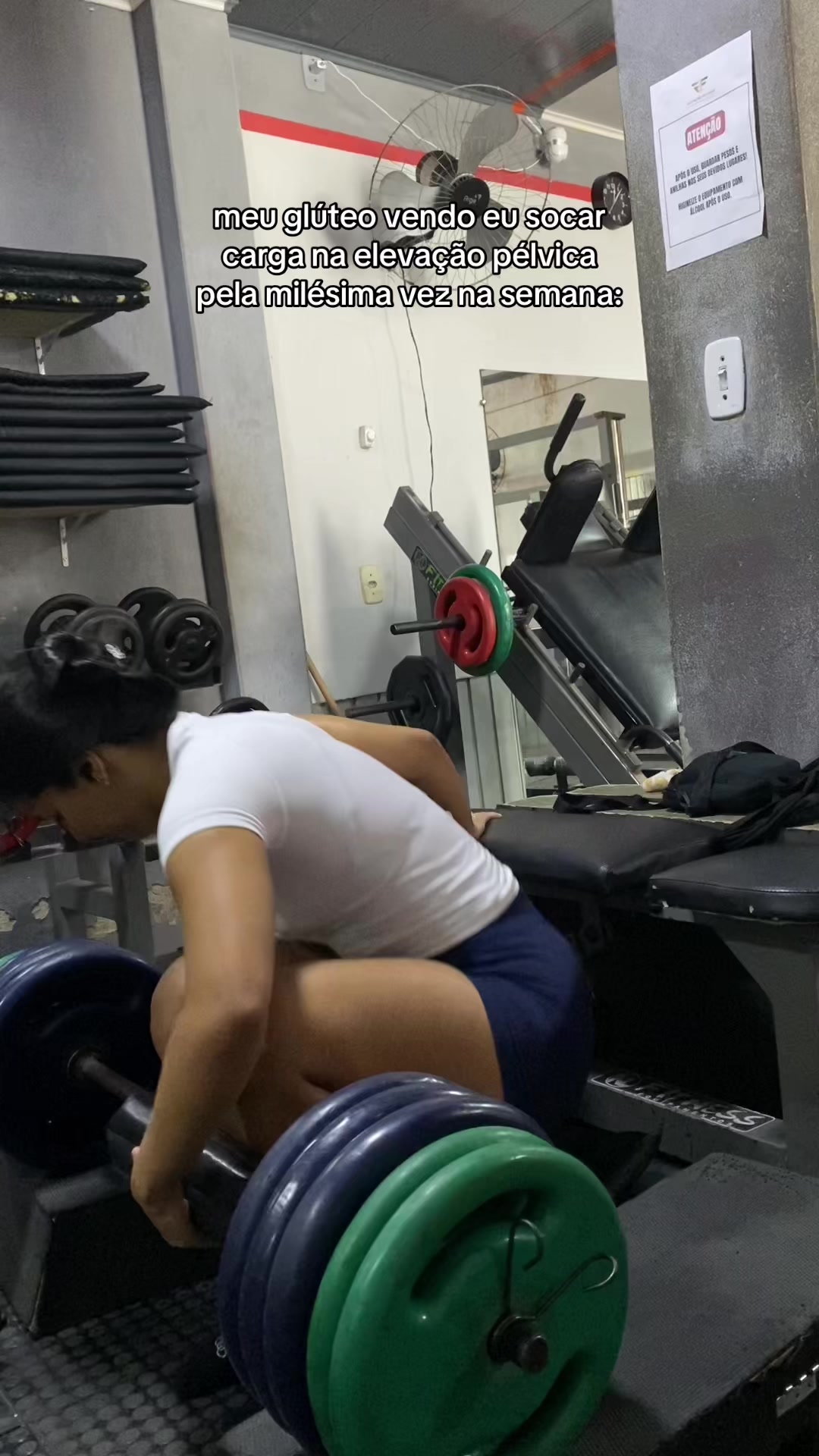 @Yasmim Maia