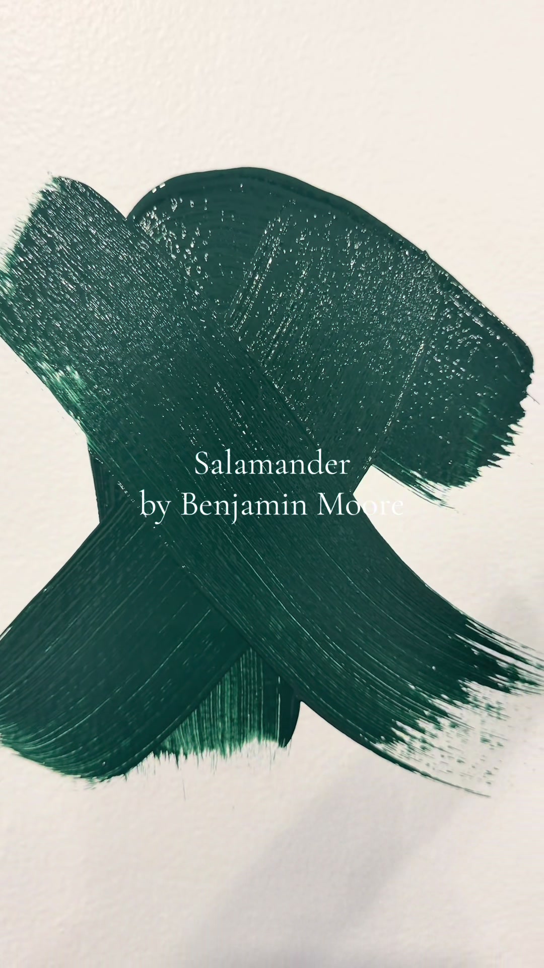 @The Purple People