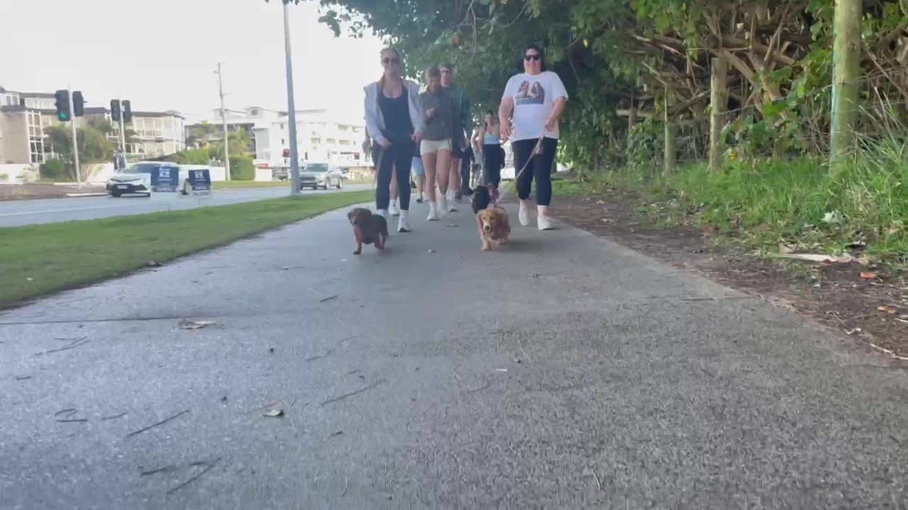 @Chenelle | Pet Sitter Podcast