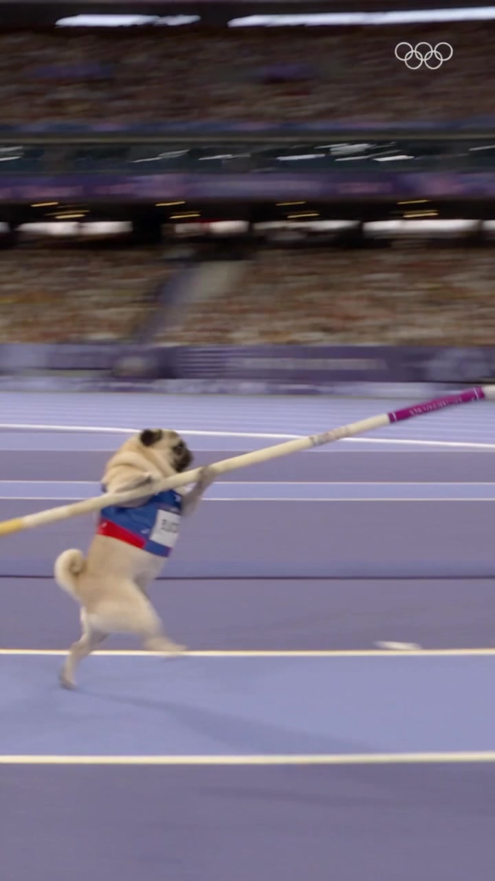 @Lucas The Pug