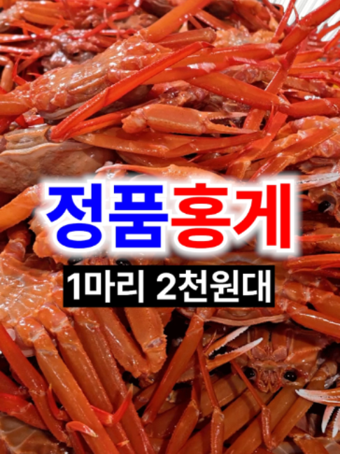 @싱싱헌터스