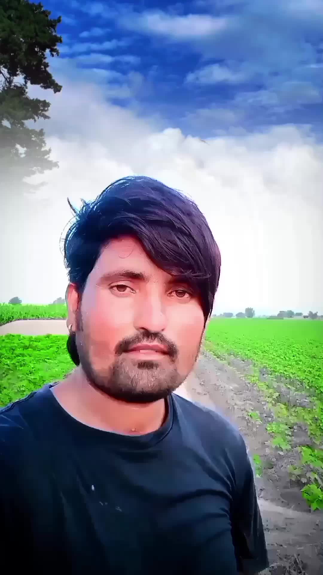 @Rajashtani Marwadi