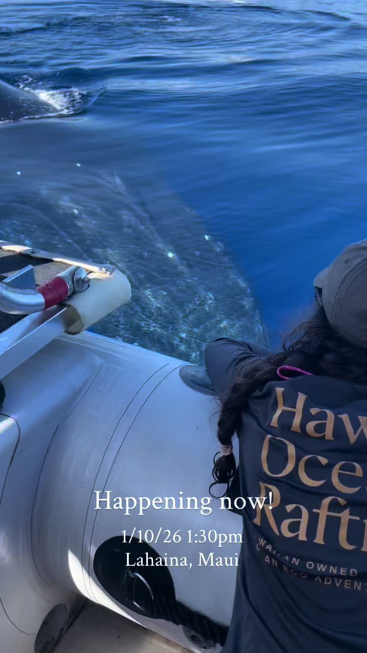 @Hawaii Ocean Rafting