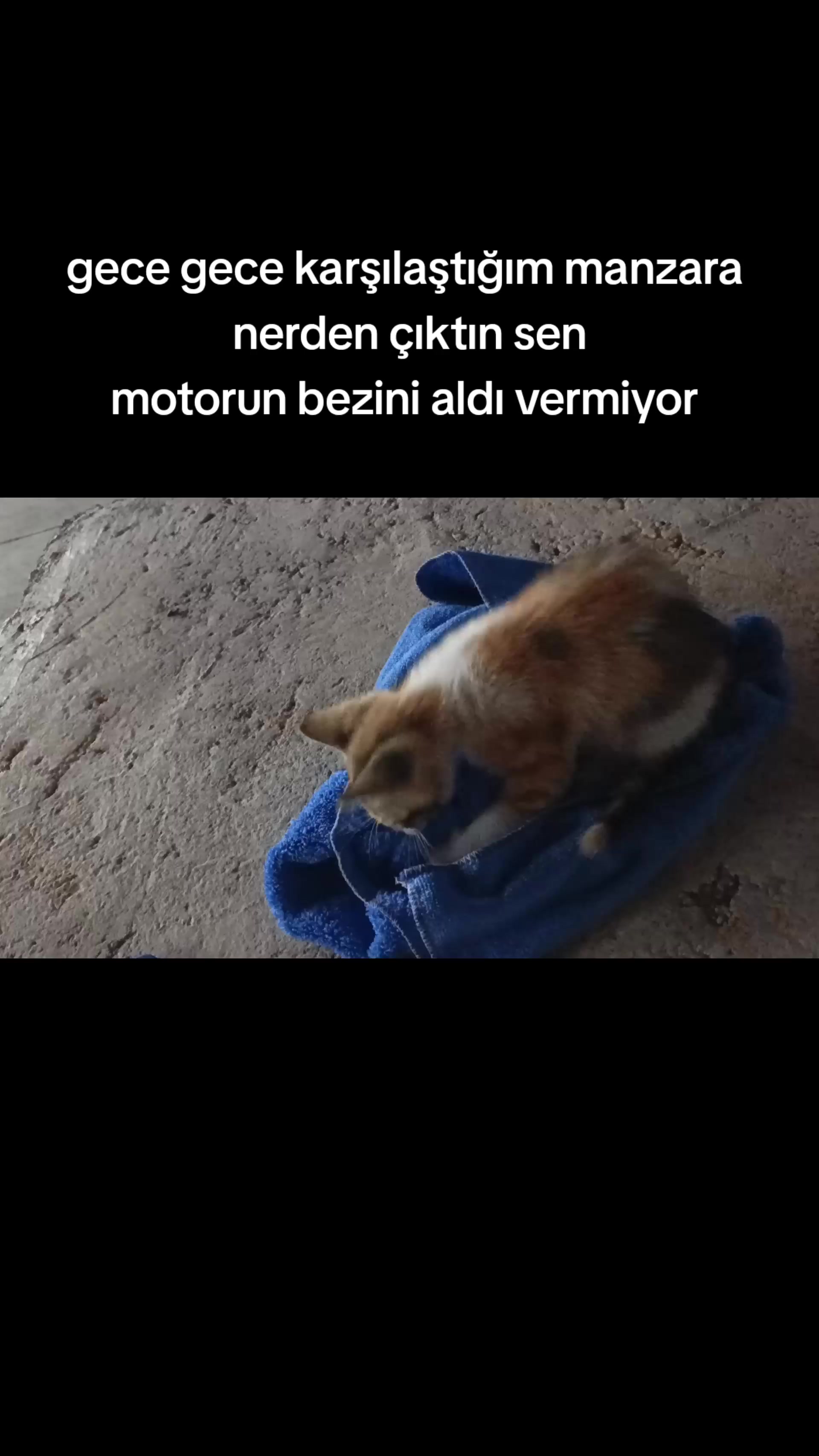 @Ata Tetik
