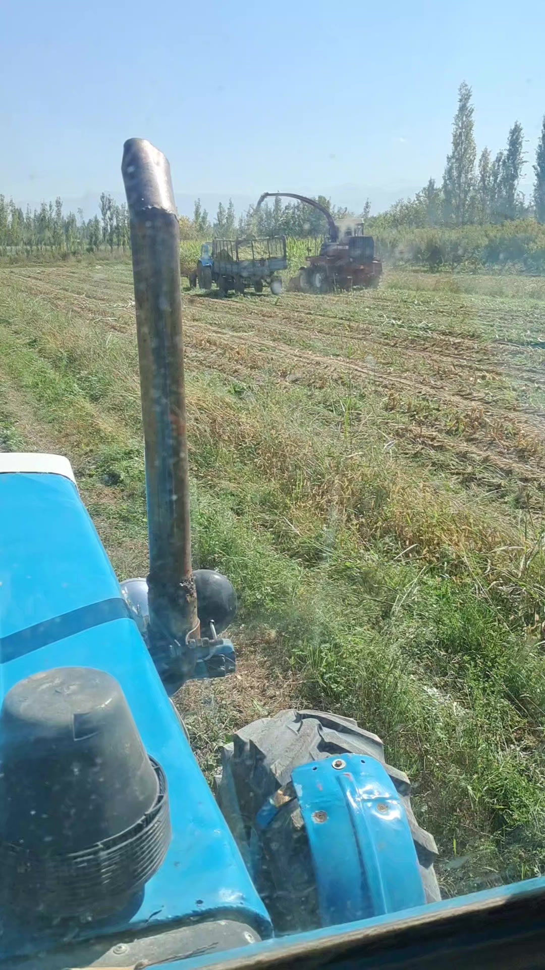 @мухаммад