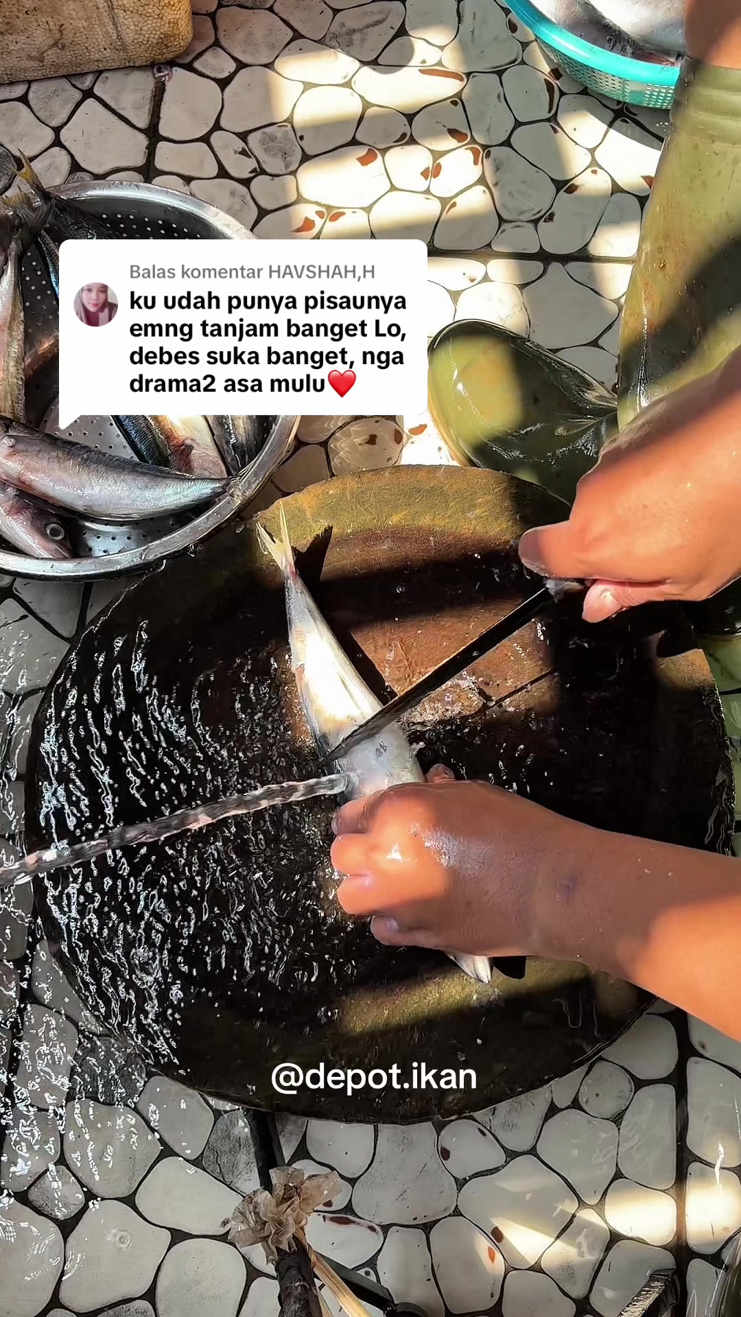@Depot Ikan