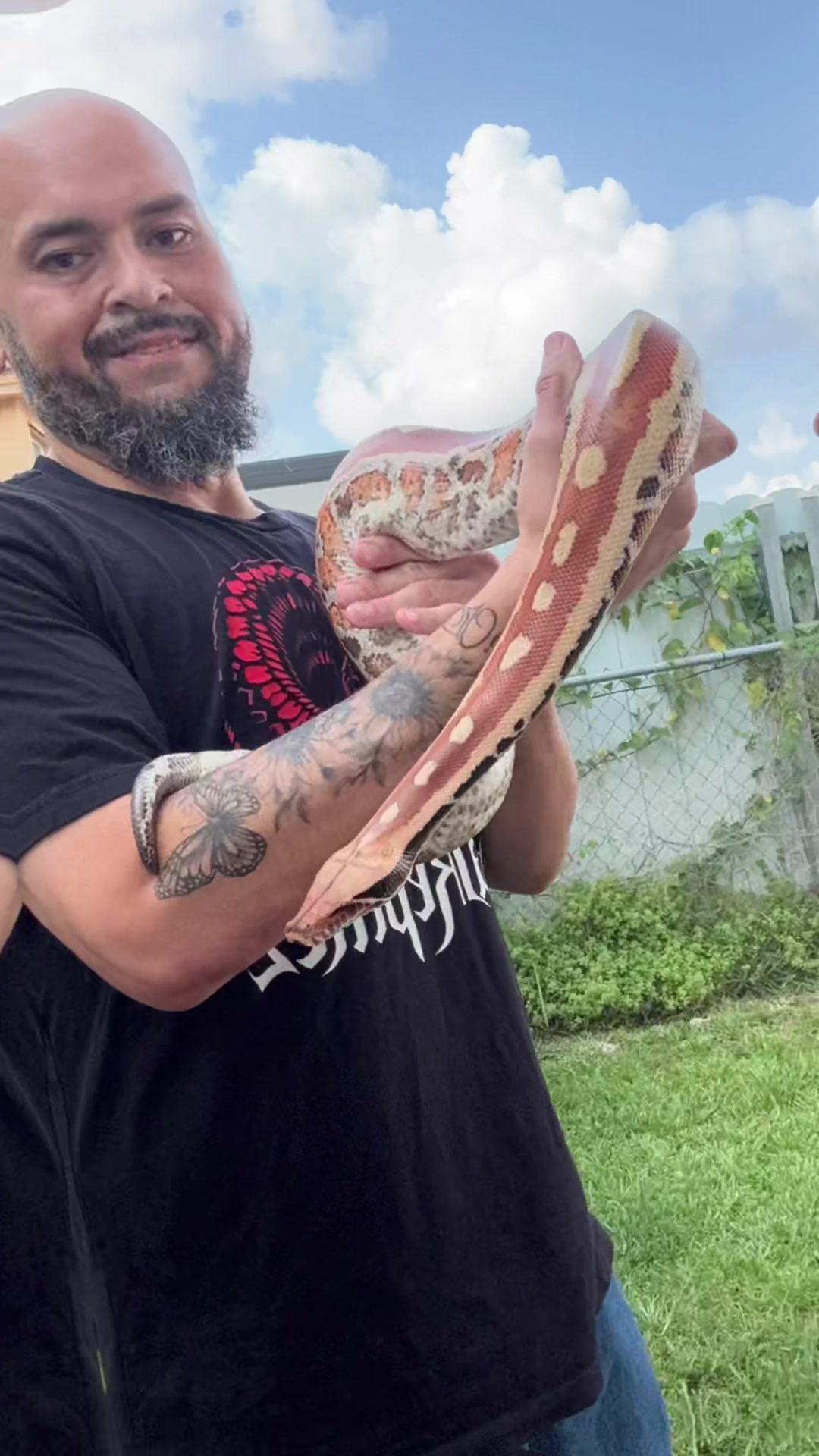 @BosaReptilez
