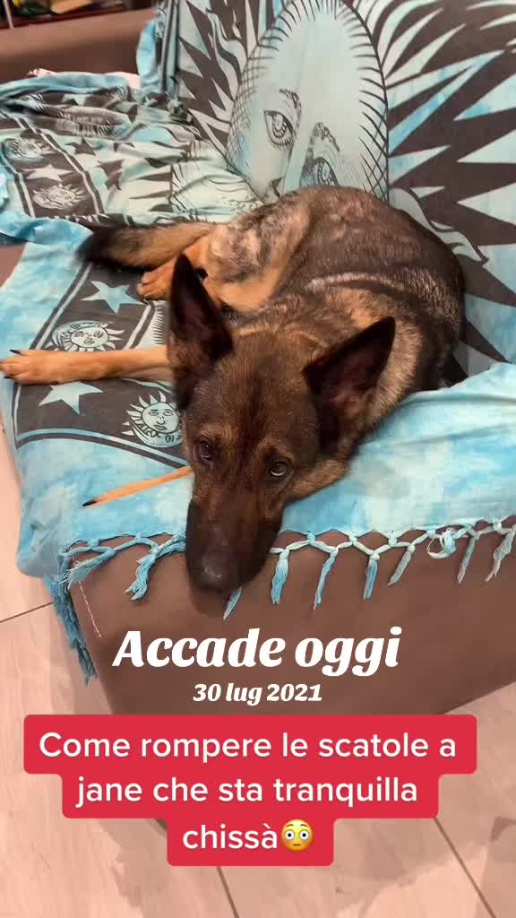 @Janedeivolsci&victorio
