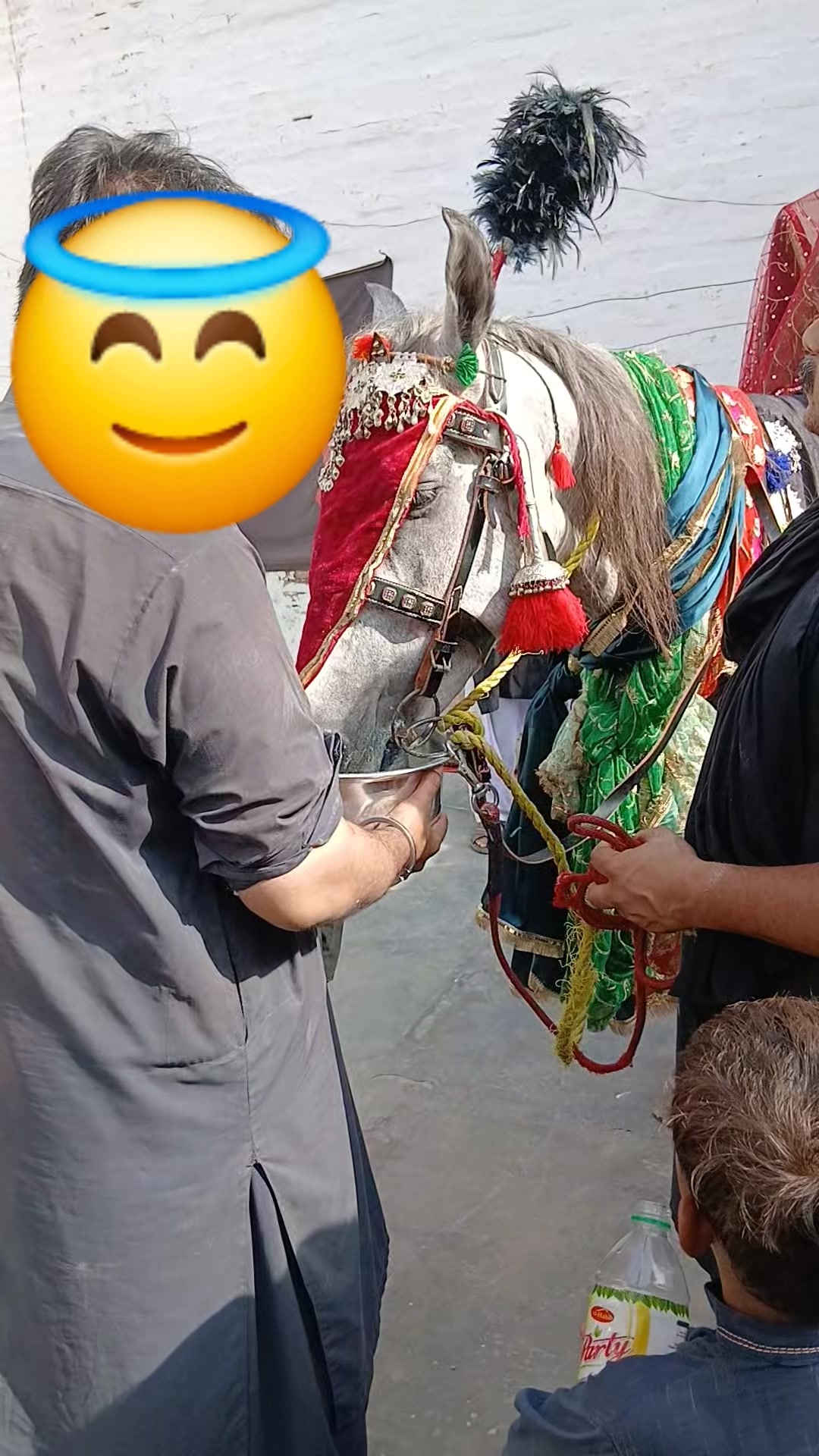 @SYEDA ZAHRA