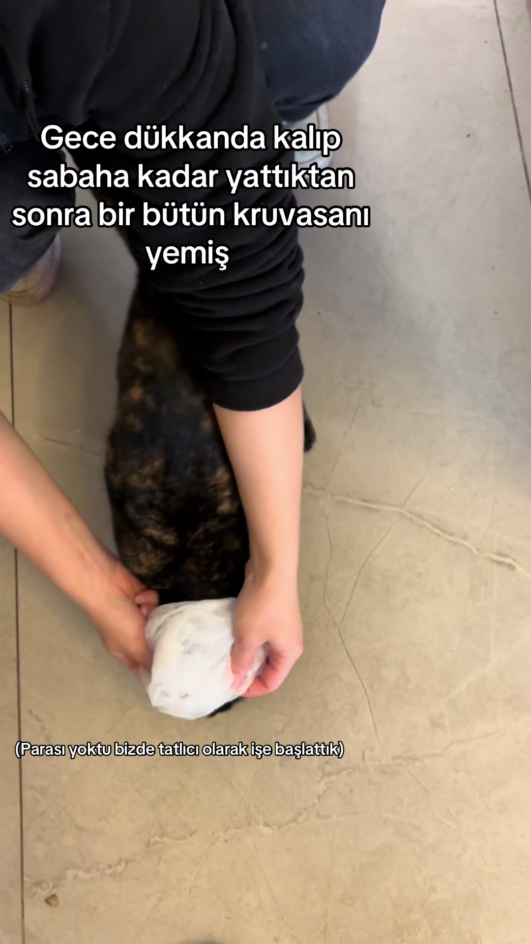 @Meryem