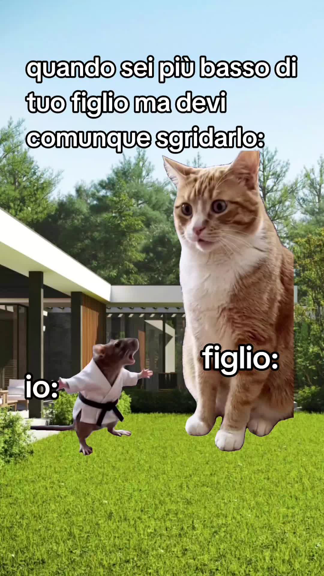 @Stefano Cr80