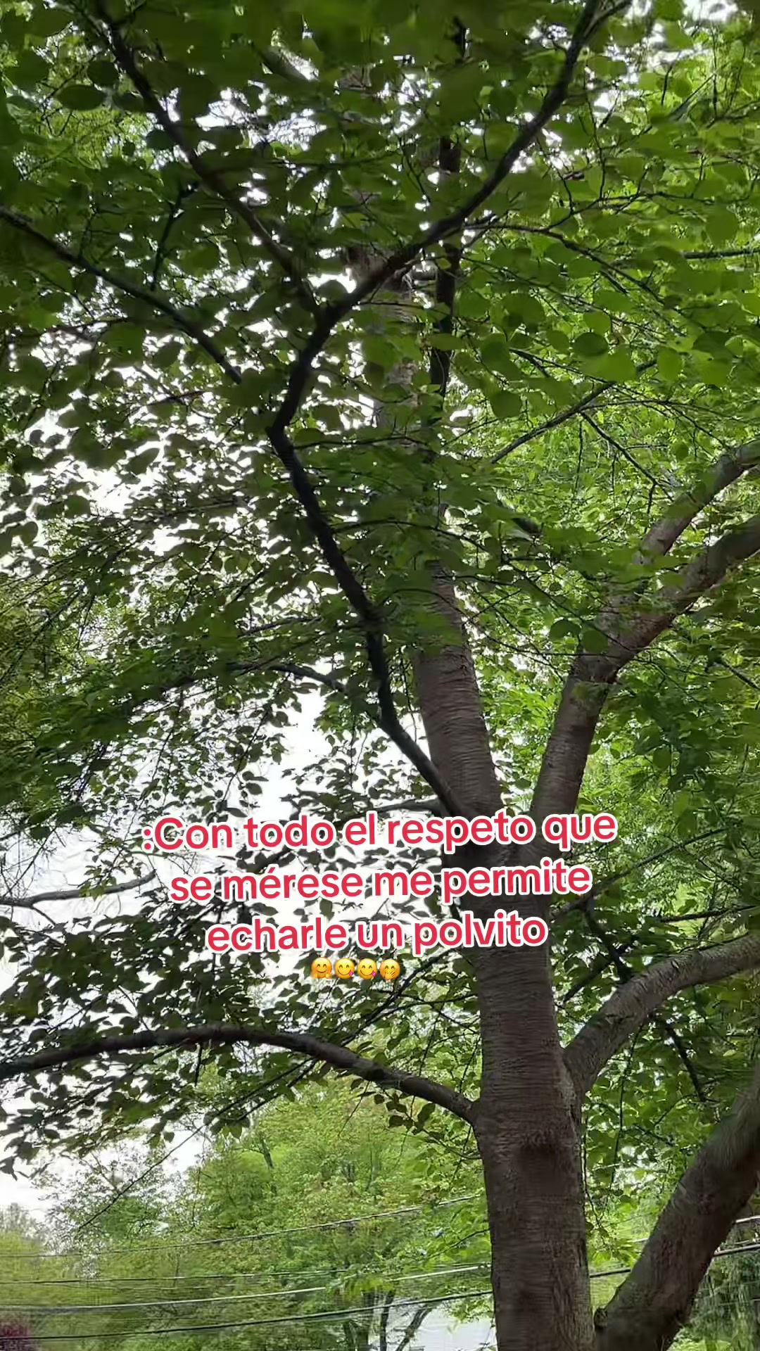 @Jairo504t