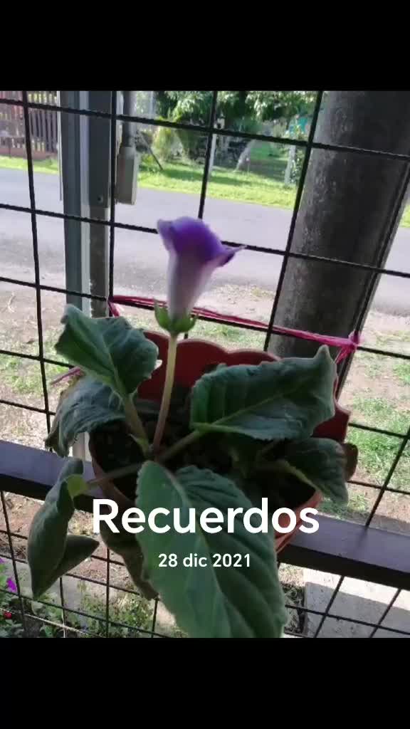 @Fran