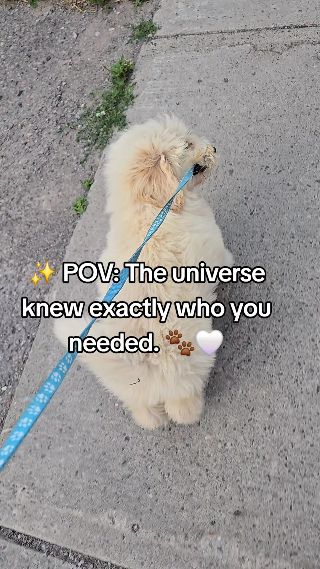 @Niki Donovan
