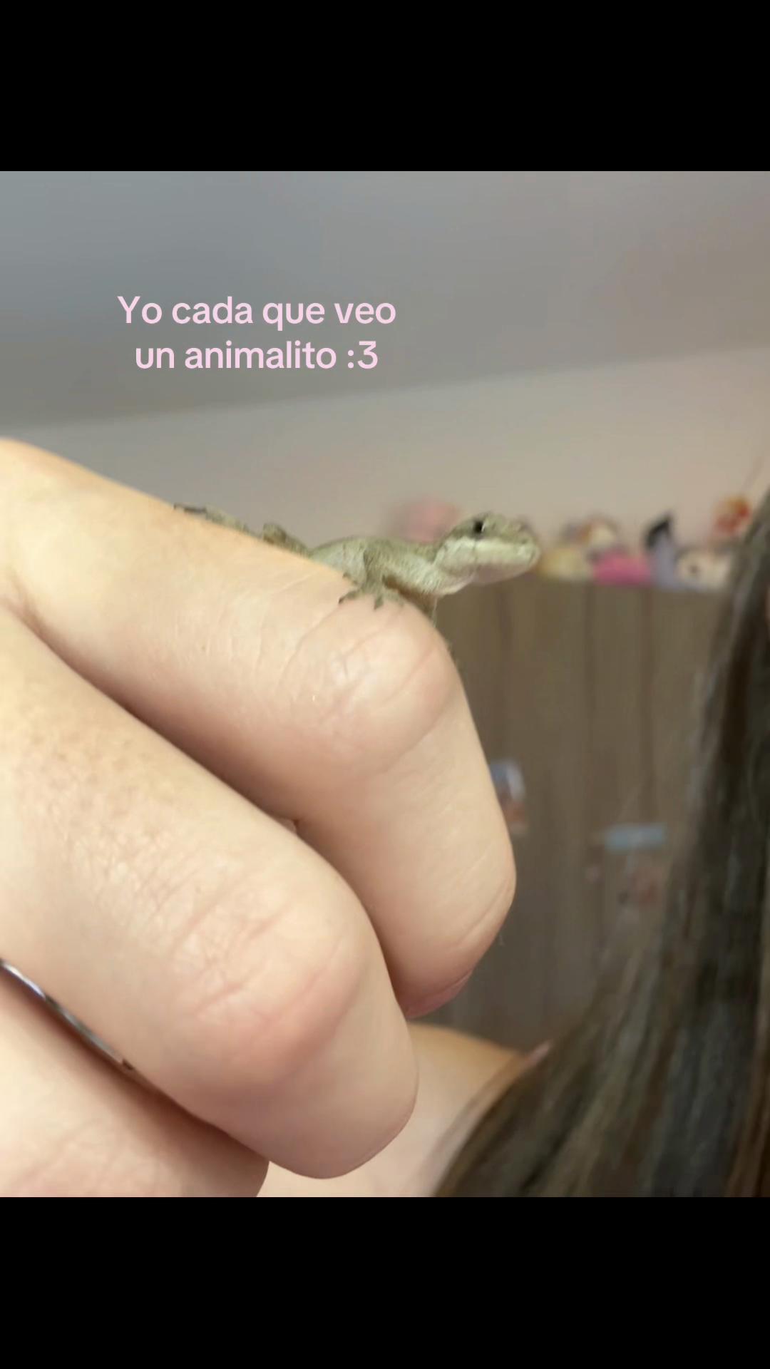@⋆୨୧ agalata ୨୧⋆