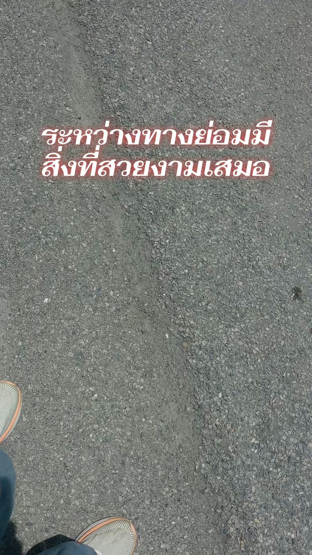 @🌻แม่แก้วของปูนปั้นกะปลาวาฬ🌻