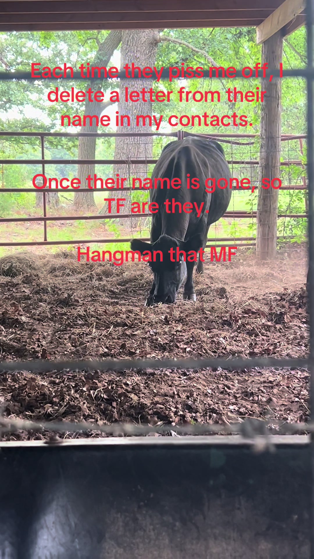 @Adam E