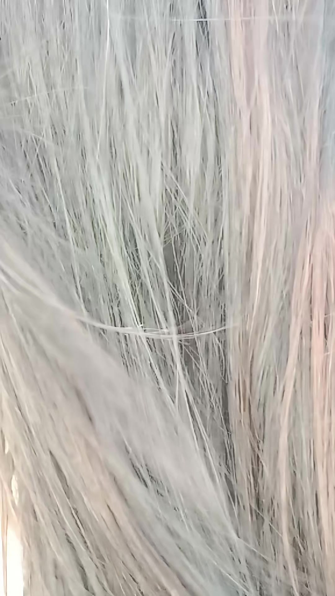 @Pakhiđ¤đī¸