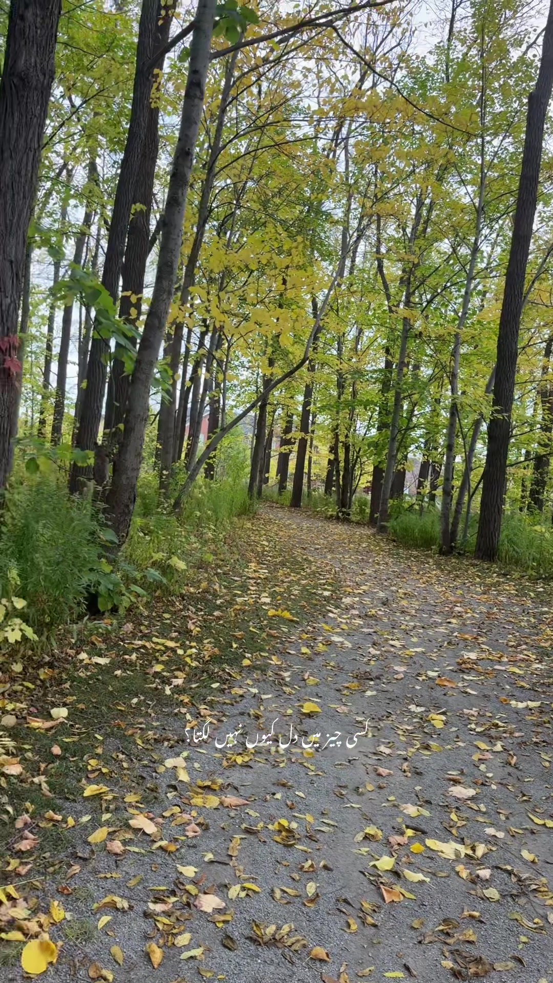 @Nature lover 🇨🇦