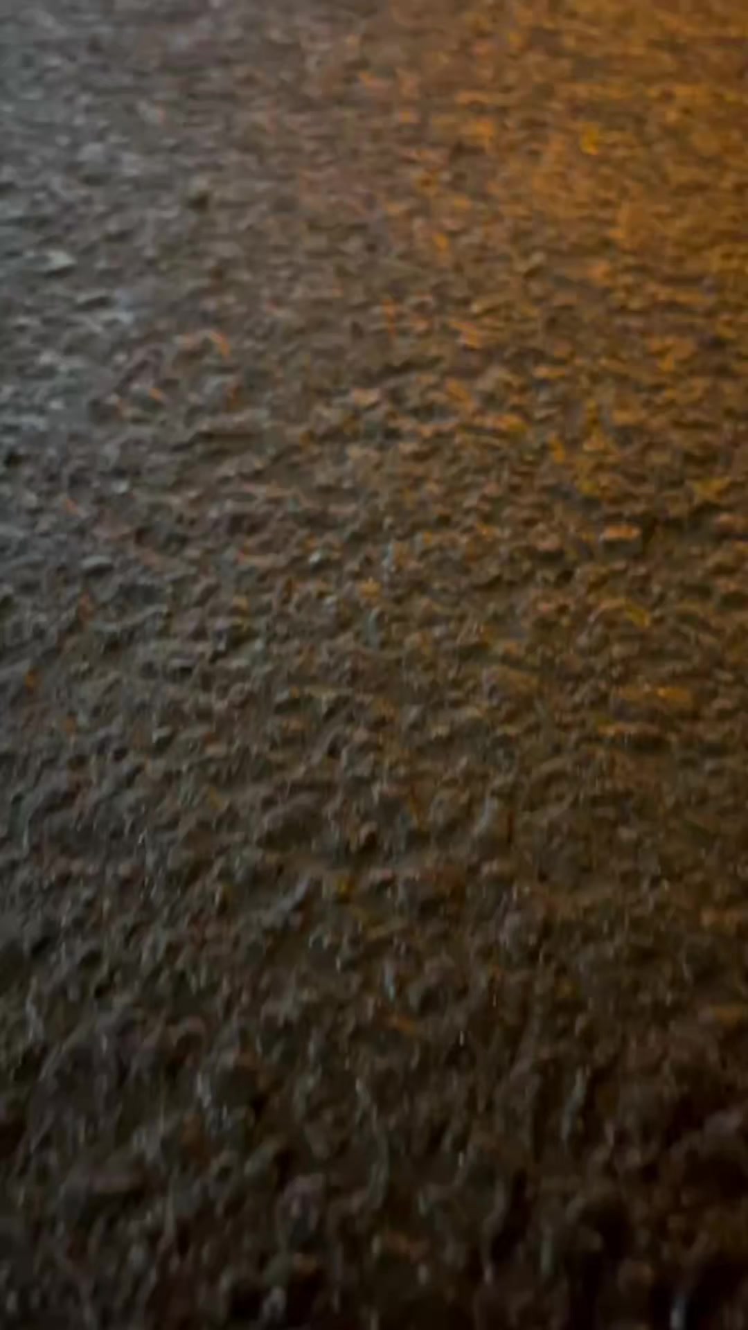 @....
