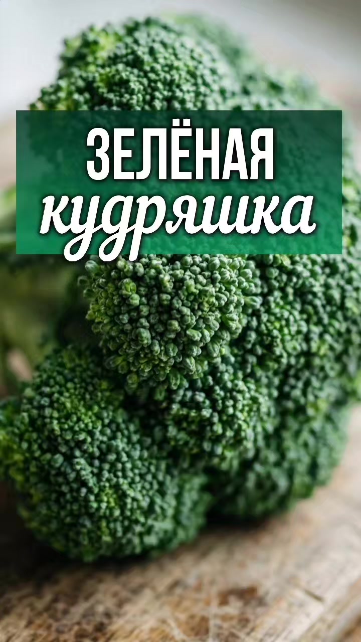 @ЗОЖнавигатор