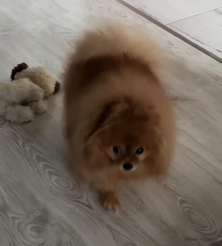 @Світлана