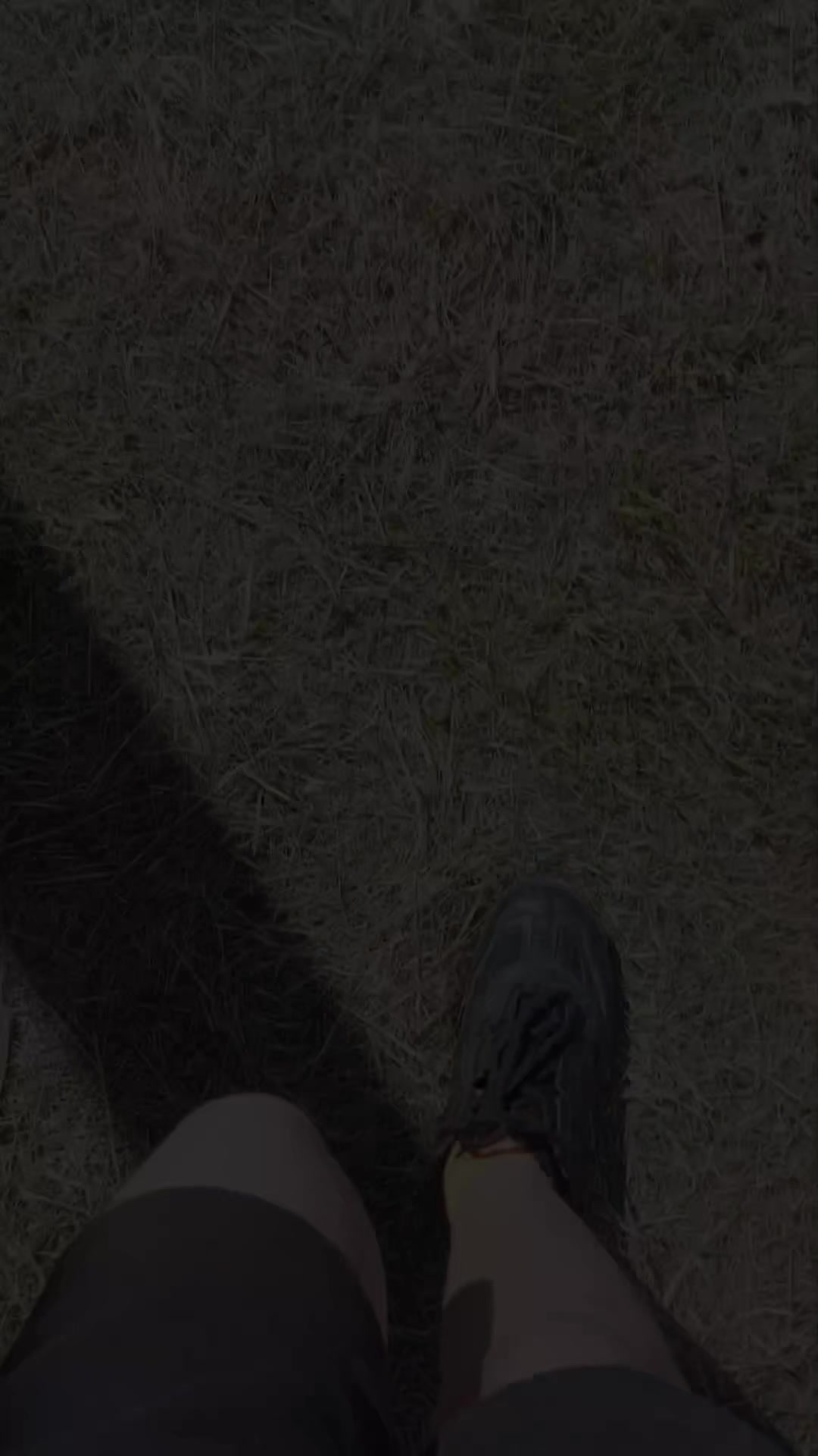 @NAIVO🇺🇲