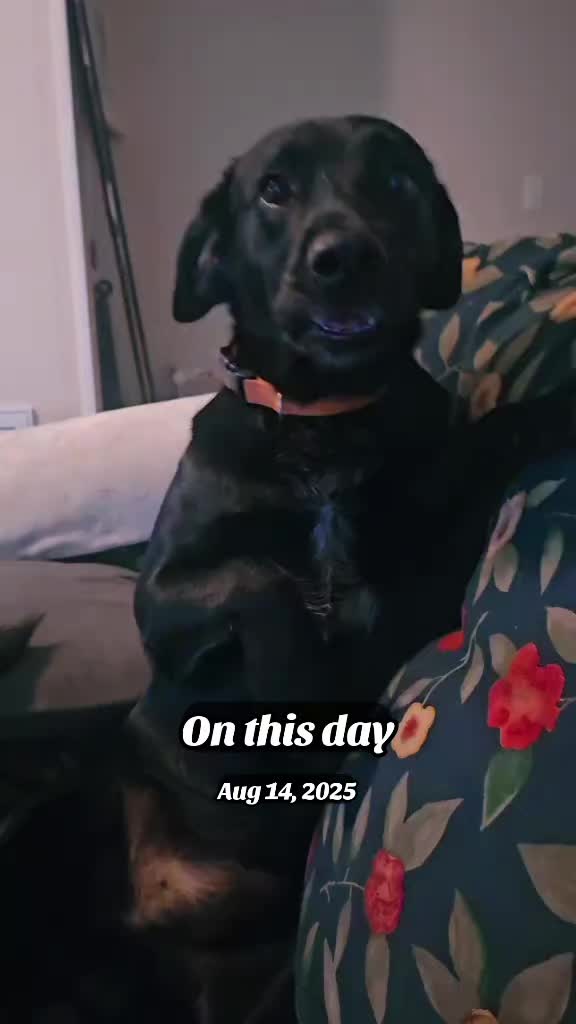 @TMAC❌️ tammymcconnell76