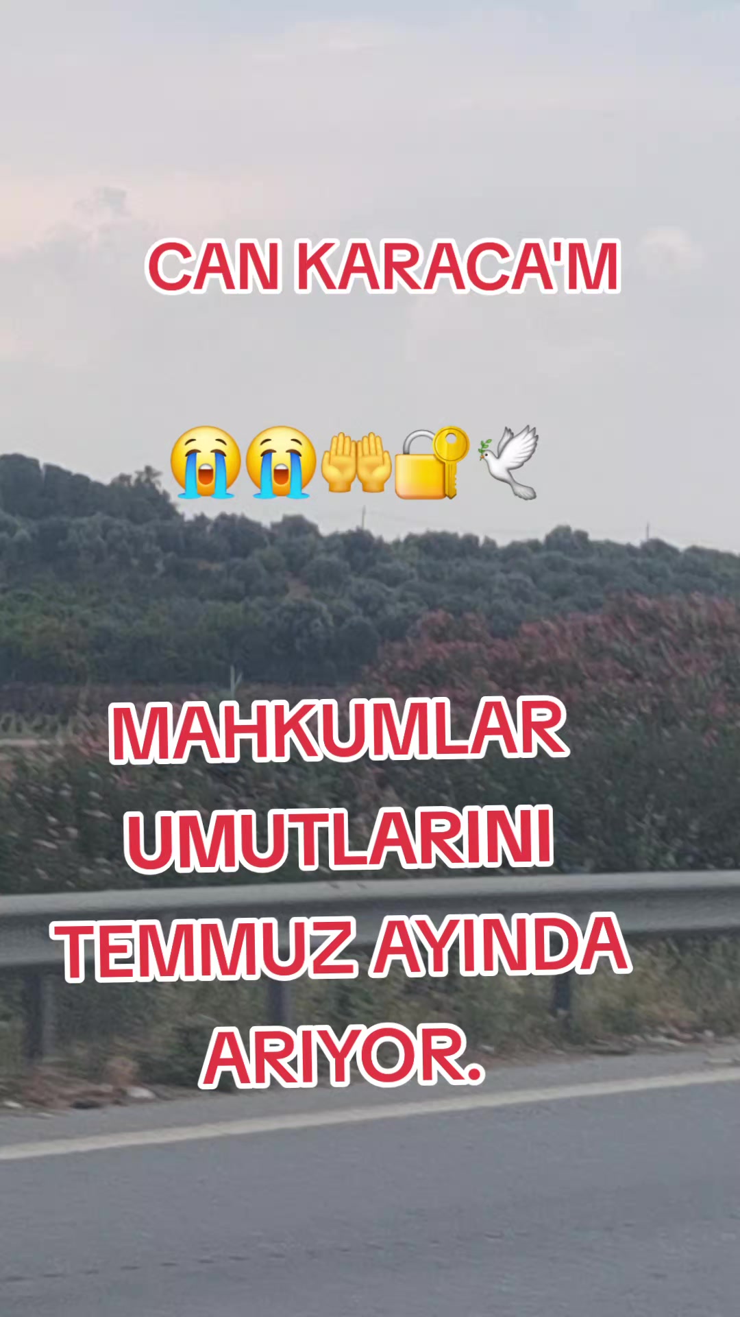 @can_gul0102