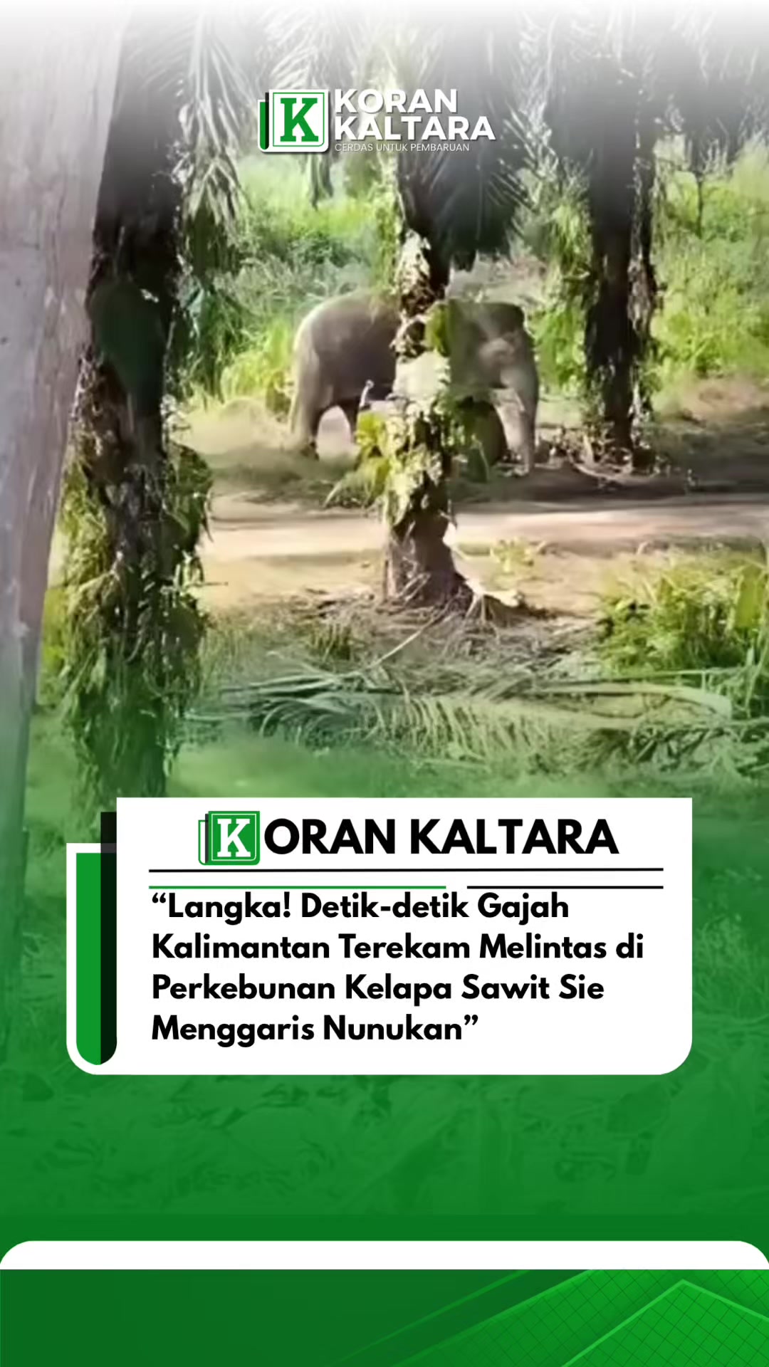 @korankaltara