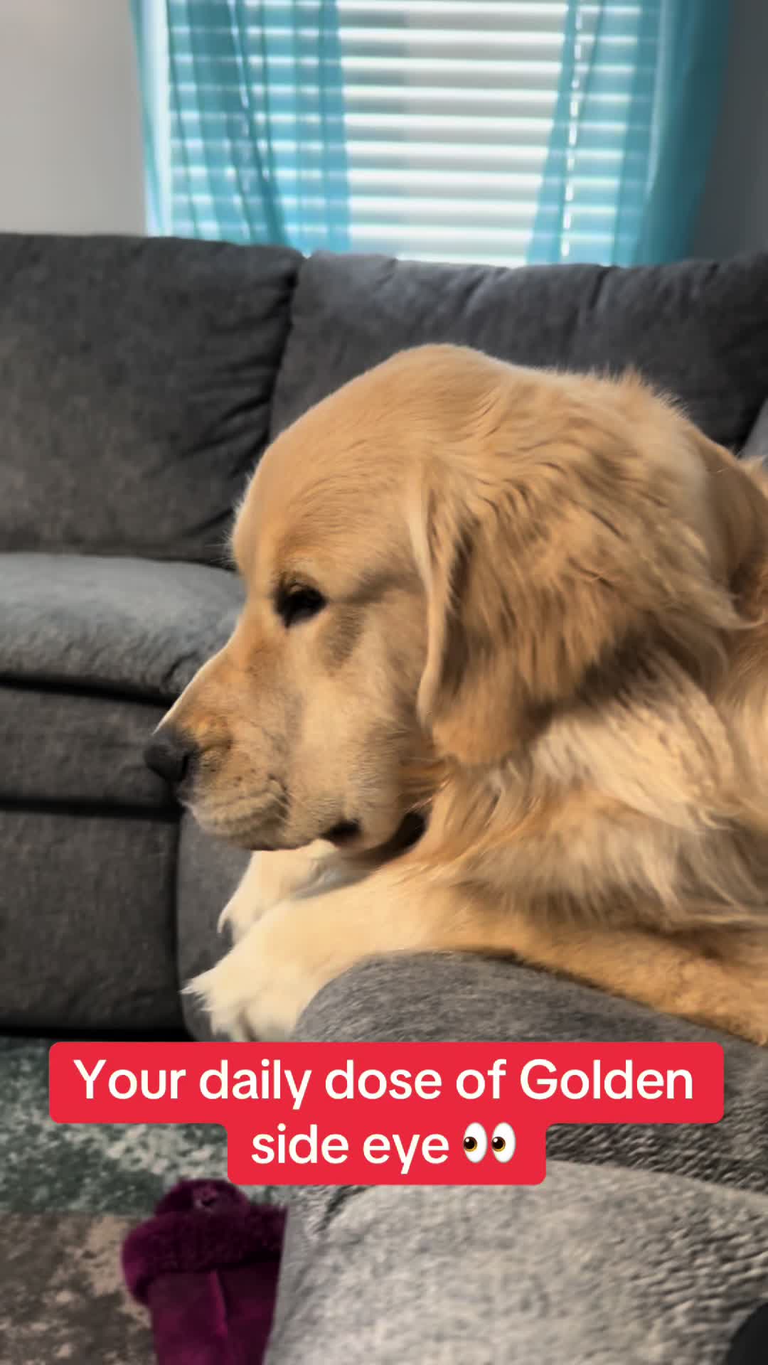 @Tucker_tha_Golden