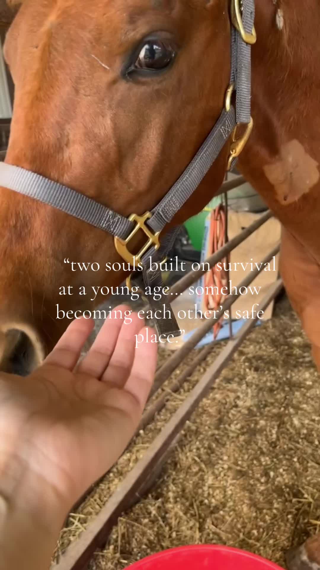 @J://💚