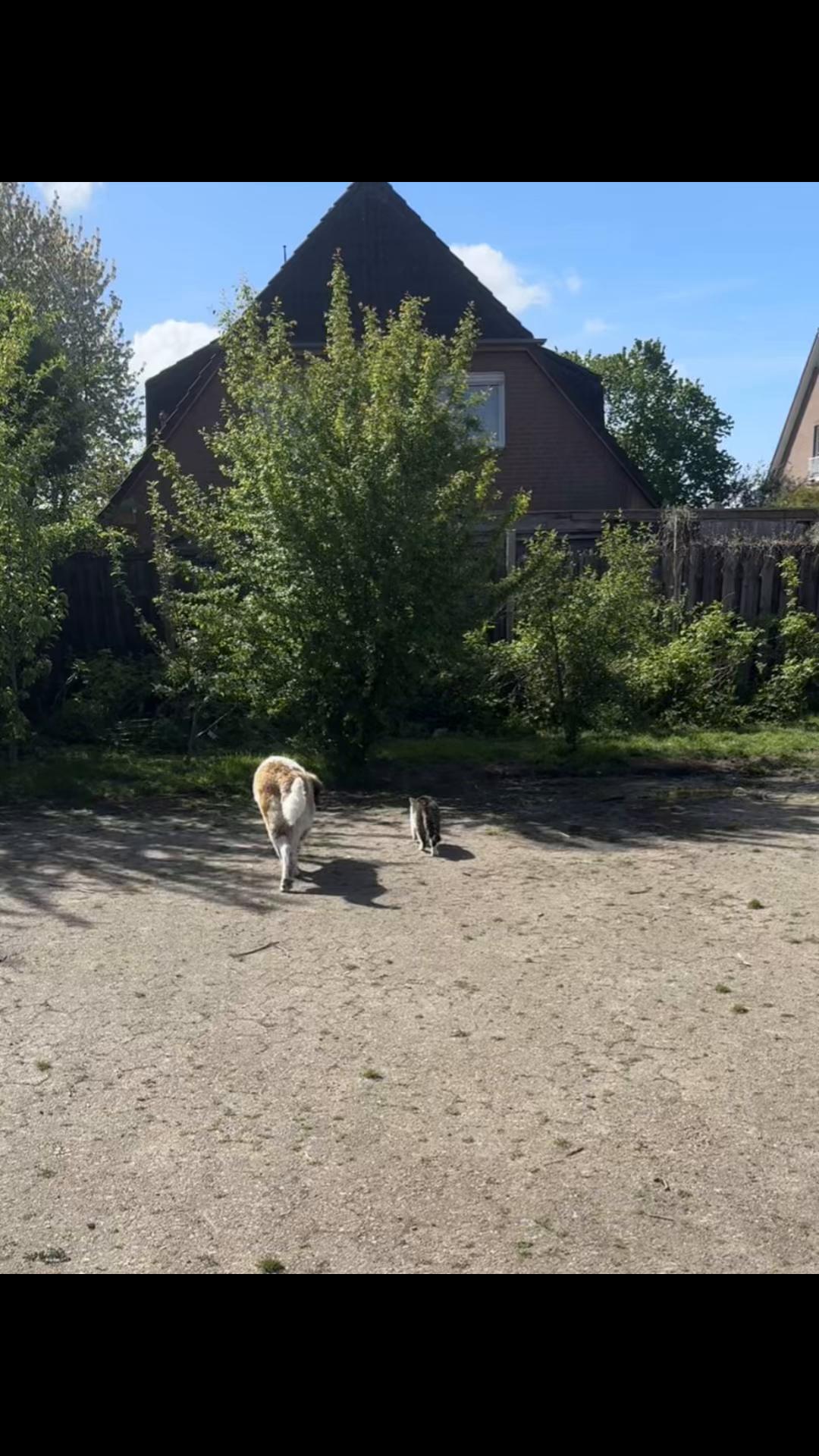 @Mercedes, Dolly & Cherry ♥️