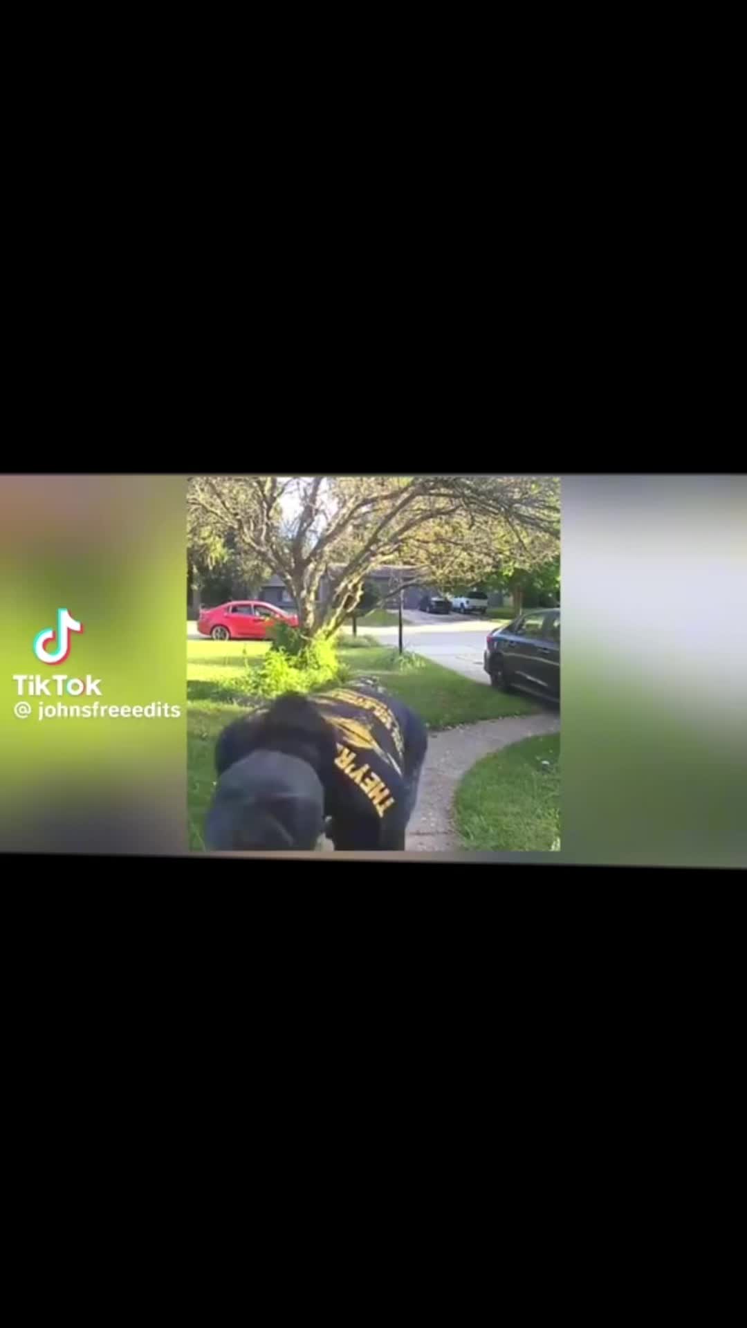 @Camo