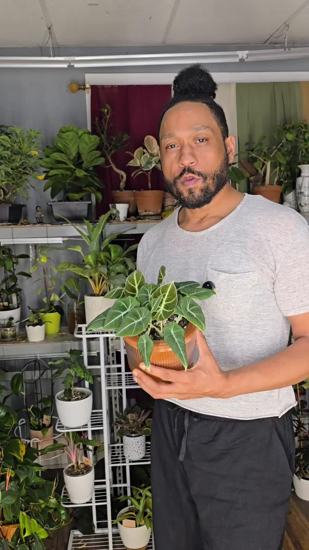 @JT - BigEGOPlants