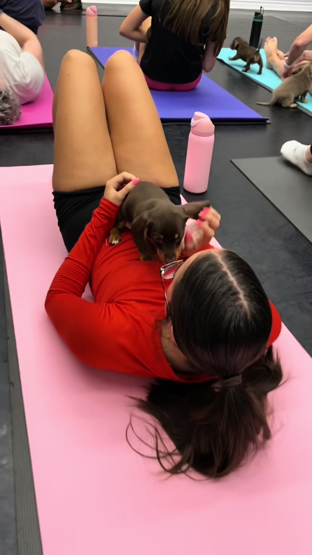 @Muskoka Puppy Yoga