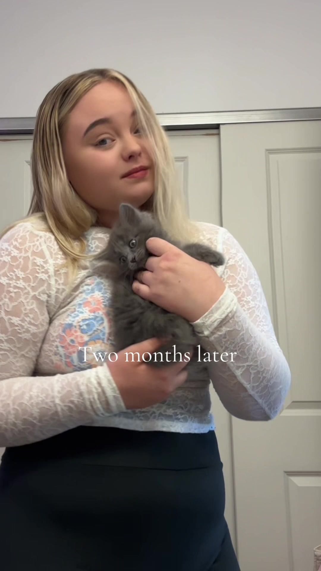 @TessCollabs