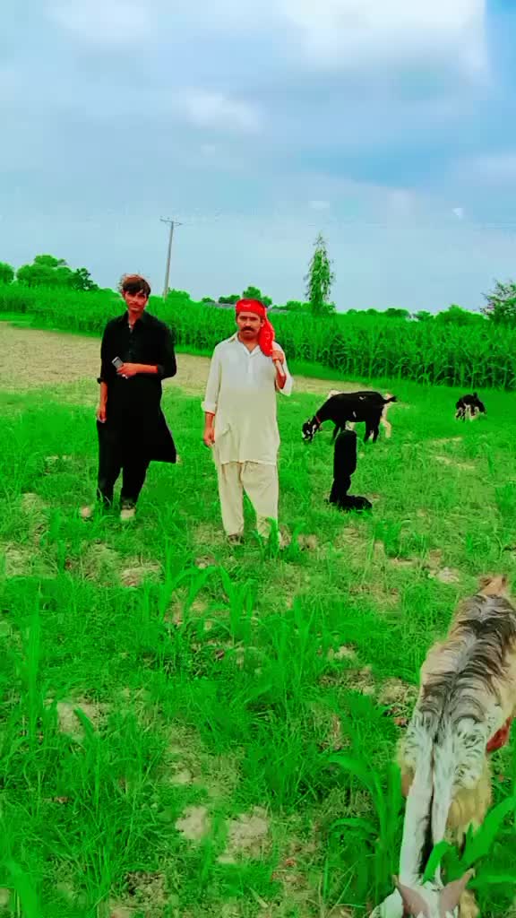 @Akhtarjaan72