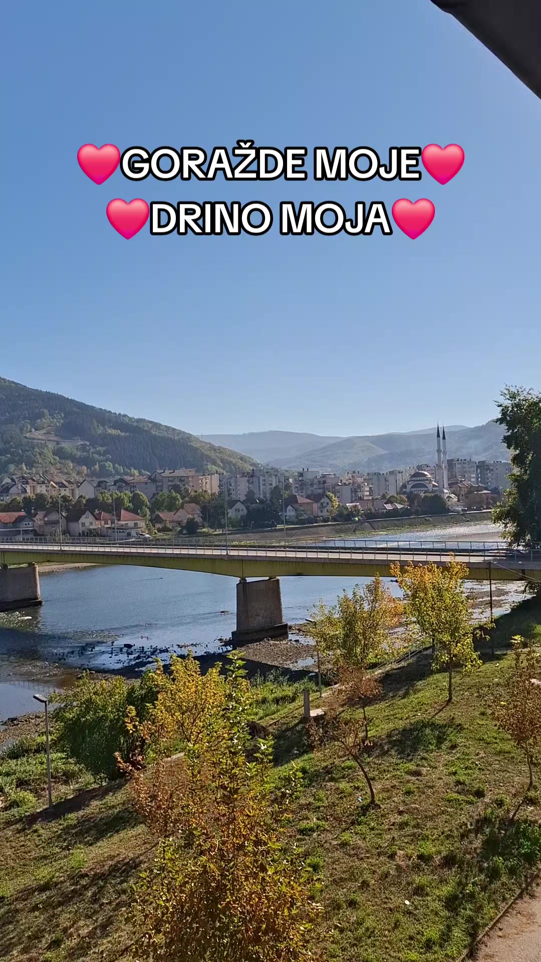 @ALEM MUTAPCIC