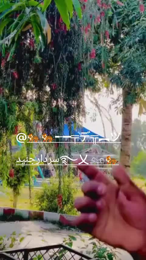 @🦁ShAraZ RoHiLLa 👑